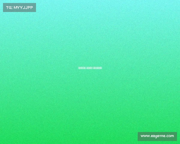 拳击赛主办 赛事准备 拳击报名比赛